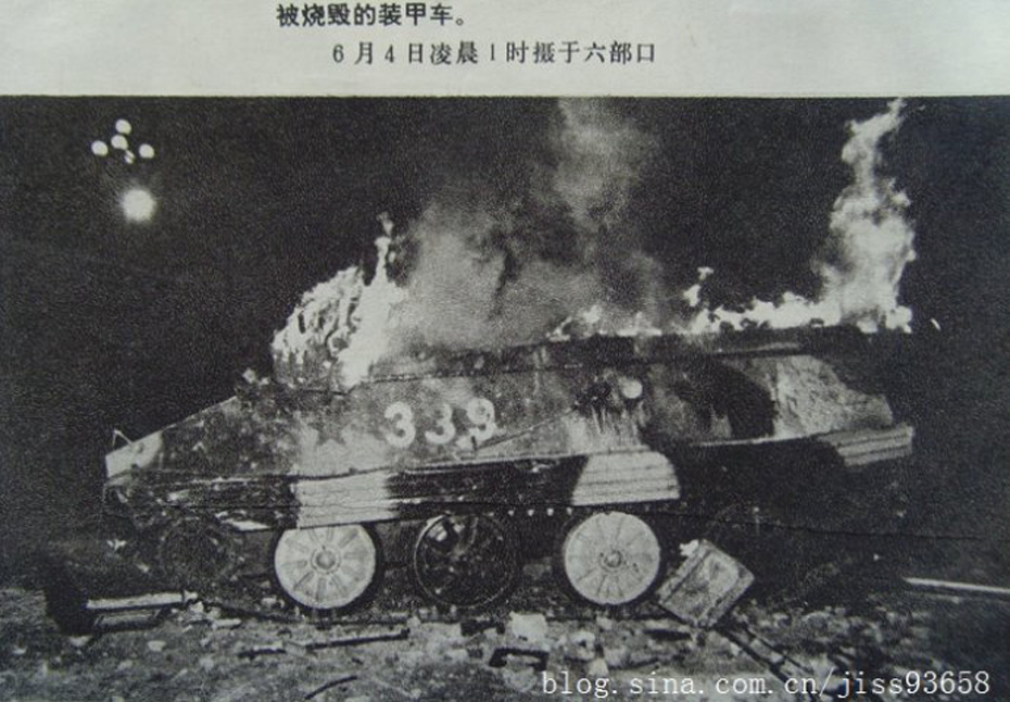 81