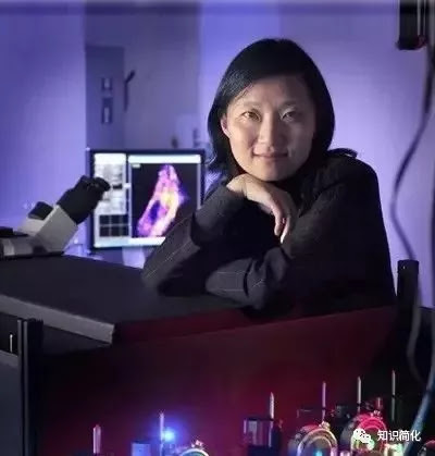 zhuang