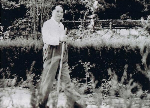 maowalking