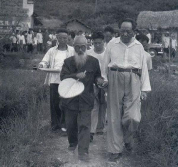 mao5
