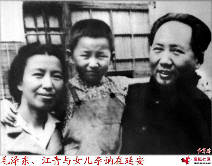 maojiangqing