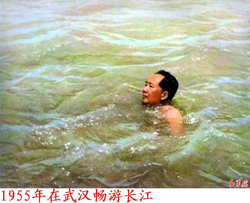 1955