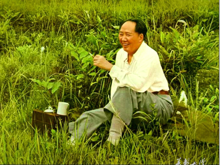 ongrass