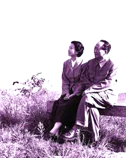 sitting