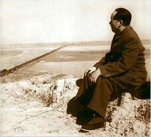 mao