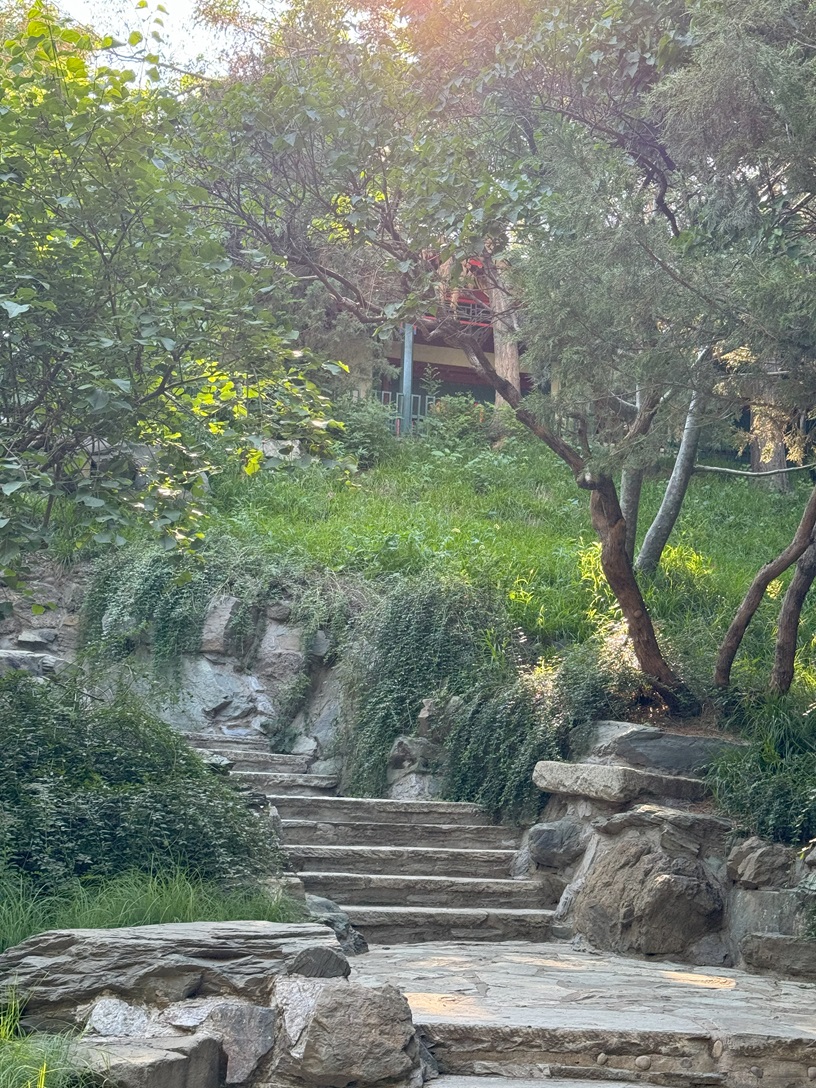 101