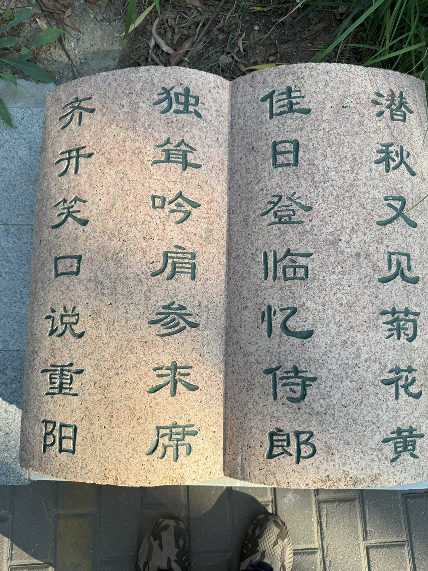 141